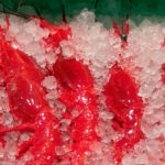 carabineros