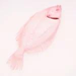 gallo_filete