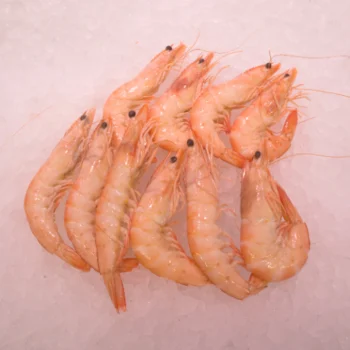 Langostino marfil