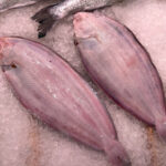 lenguado_filetes