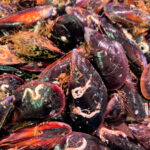 mejillones