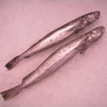 Pescadilla de Pincho